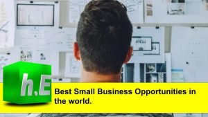 Best Small Business Opportunities in the world.