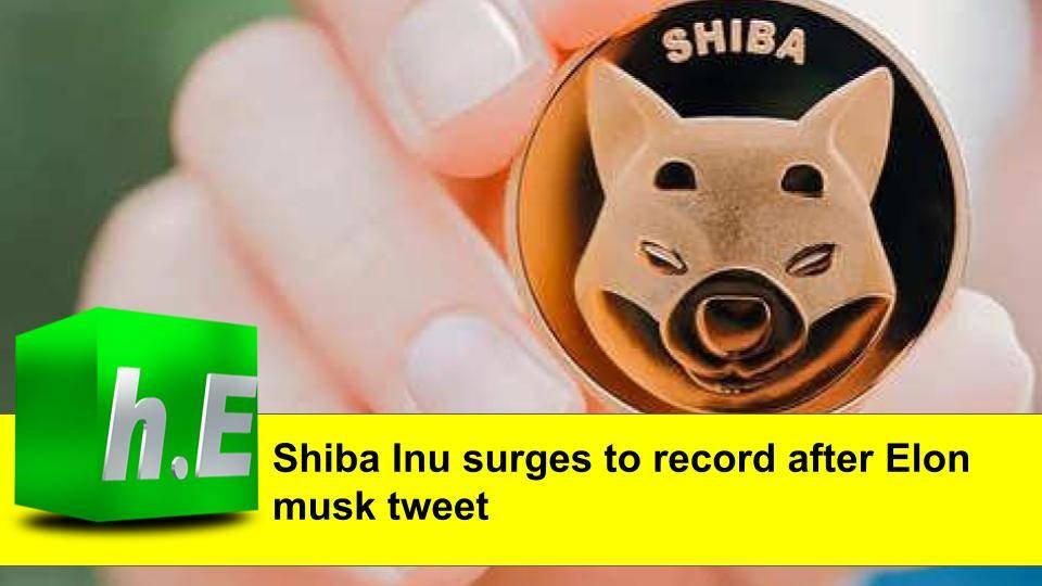 Shiba Inu surges to record after Elon musk tweet