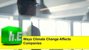 Ways Climate Change Affects Companies