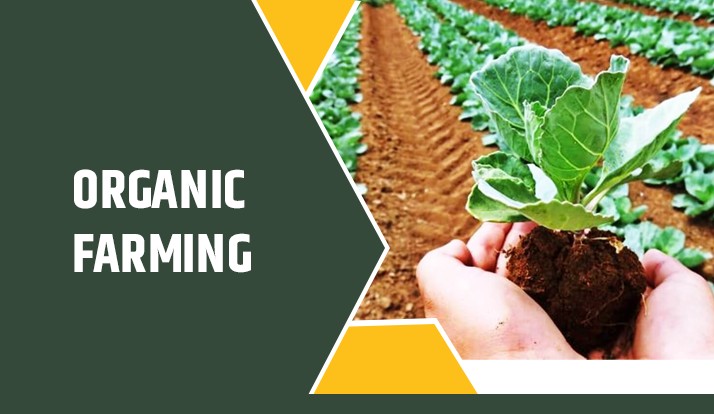 Organic farming business Img