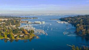 bainbridge island_aerial