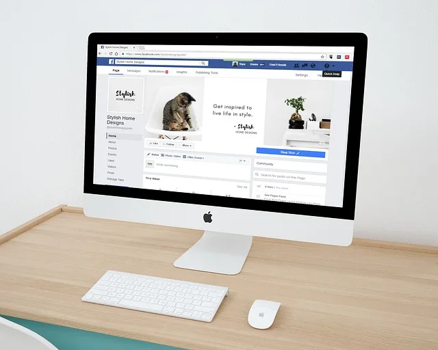 Small Business social media