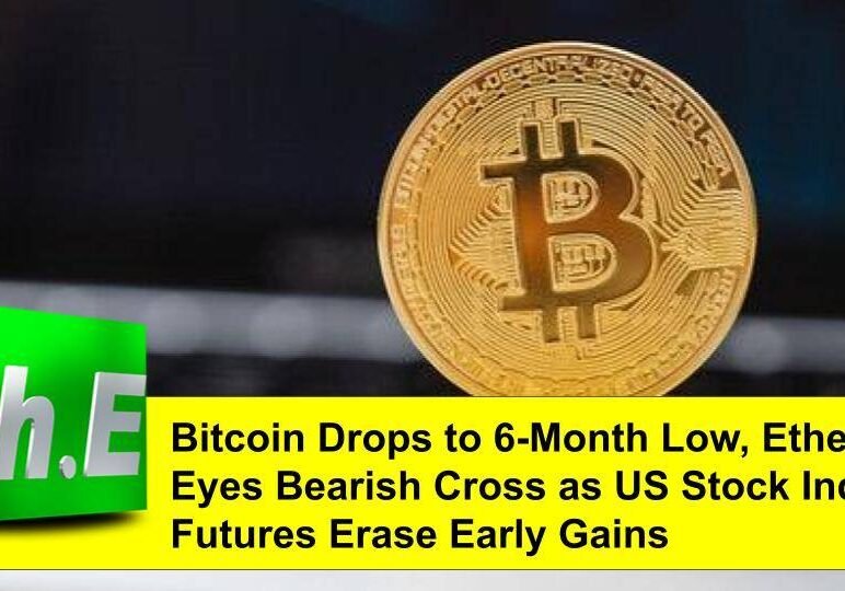 We have always emphasized the importance of having a good website for your company because it can act as your best tool for marketing and sales. A poorly designed website can repulse people from your business and can cause you to lose customers before you even have them. Get in touch with HyperEffects to work on creating, enhancing, and making the website of your company more user-friendly.