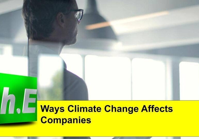 Ways Climate Change Affects Companies