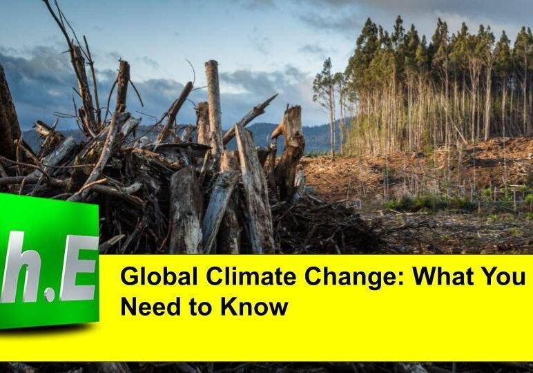 Global Climate Change: What You Need to Know