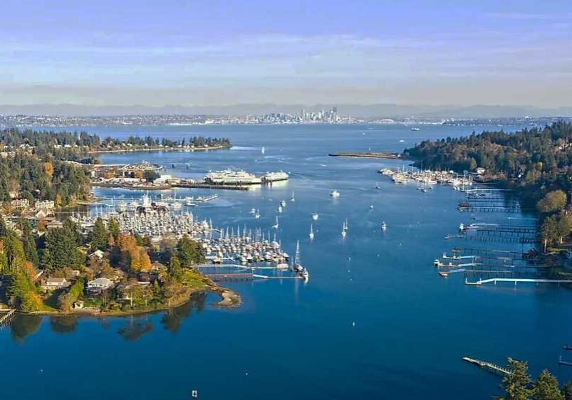 bainbridge island_aerial