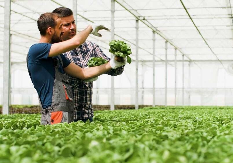 farmer website design Tacoma